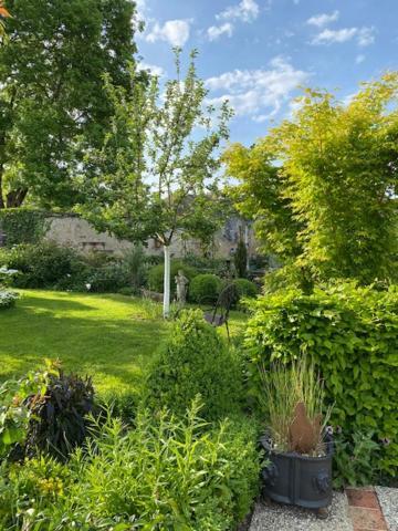La Maison Des Buis Falaise  Exterior foto